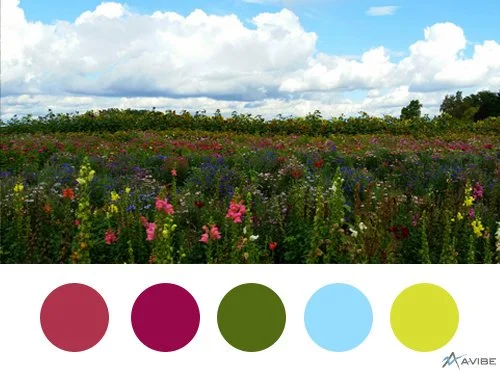 Sauvie Island Flowers